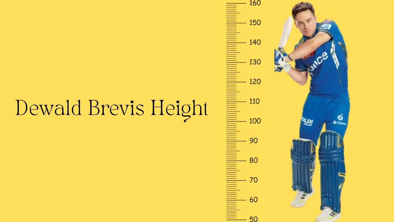 Dewald Brevis Height